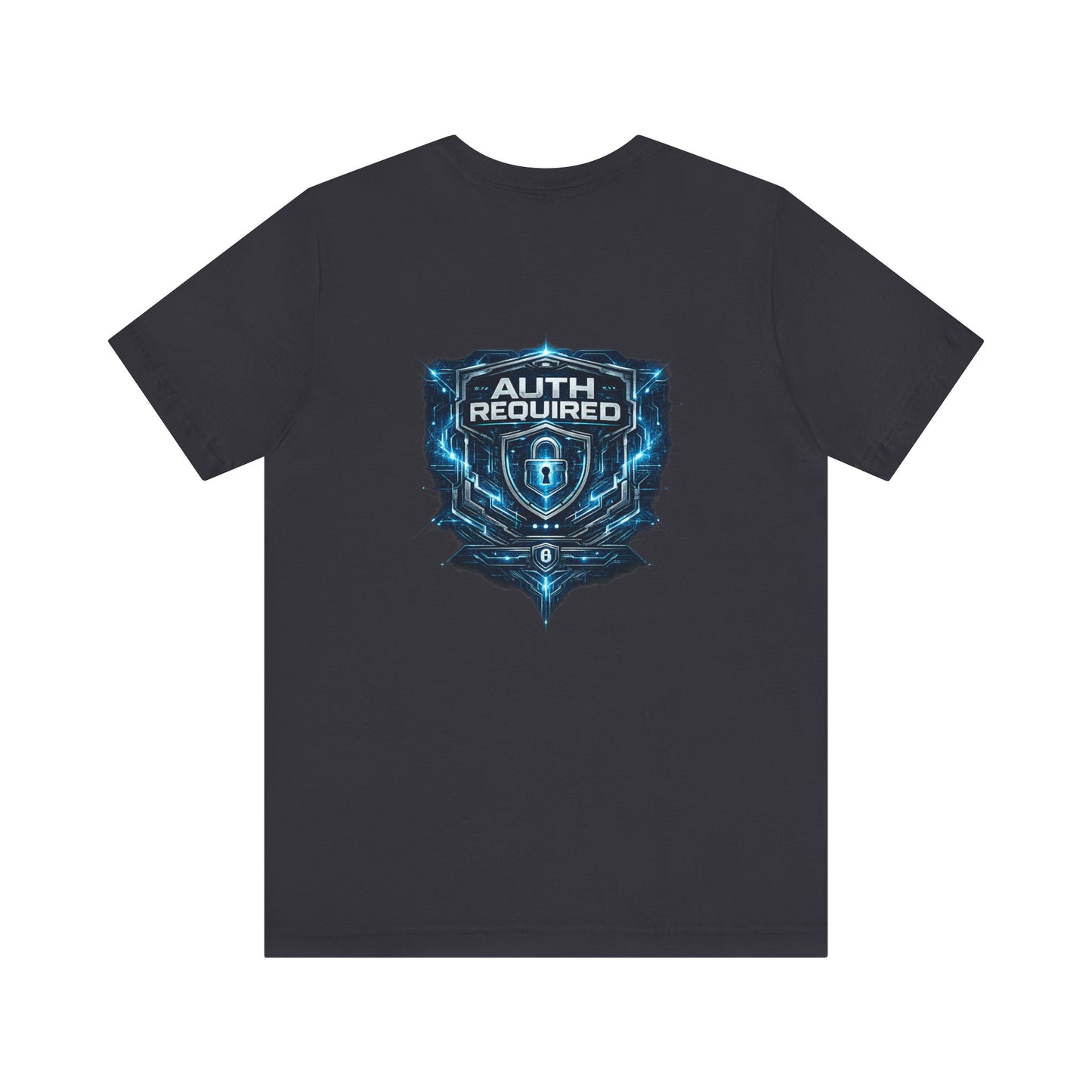 Auth Required T-Shirt, Cyber Security Graphic Tee, Hacker Shirt, Tech Professional Gift, InfoSec Apparel